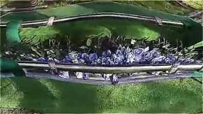 pov: you’re at my funeral in 2074