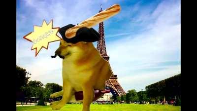 fremch cheems is chillin