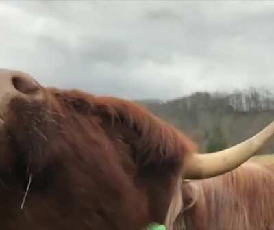 Getting your hair did