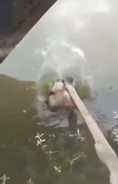 Sit at a 45 degree angle from a dark room. Open the door to room at approximately a 12 degree angle. Look forward, watching the open door out of your peripheral vision. You will finally see them.