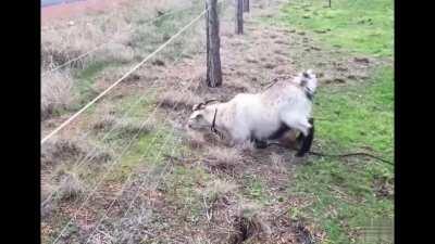 Found this on r/perfectlycutscreams