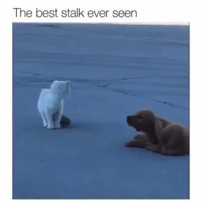 Not stalking you, just scratching my ear.