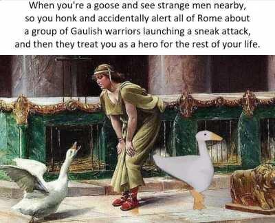 Sacred Geese of Juno were some real bros