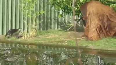 This is real fun :) was it posted here?