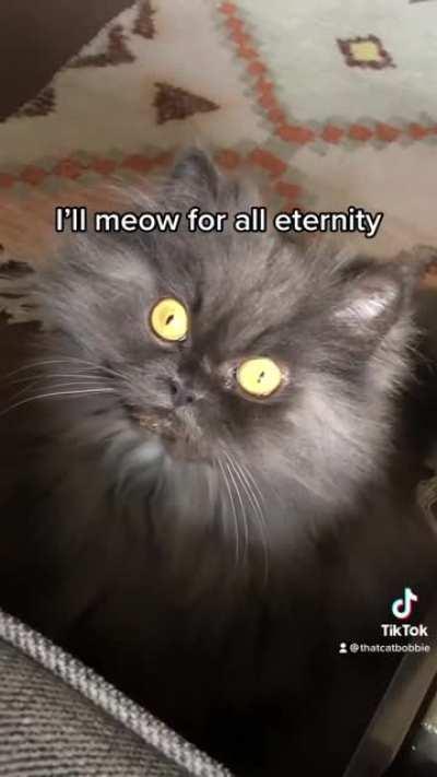 Asshole Award 🏅🏆👏👏👏