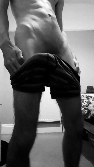 Would you call him a bull😜