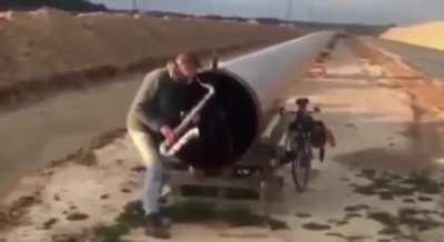 Why is this so Entertaining?