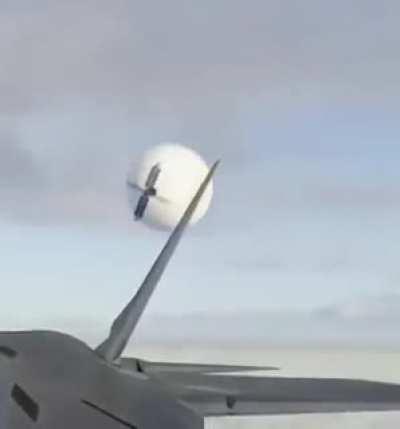 F22 vs Balloon (Too funny not to share)