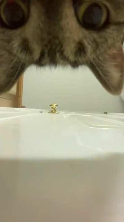 Gotcha ya! You weren't ready for this...