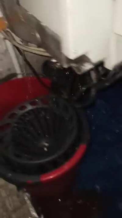 Die Therme auf dem Dachboden ist wohl komplett durch und es regnet bei mir in der Küche. Was gibt es schöneres am Freitag Abend als einen kleinen Wasserschaden . Video aus der Küche gibt's im follow up Post