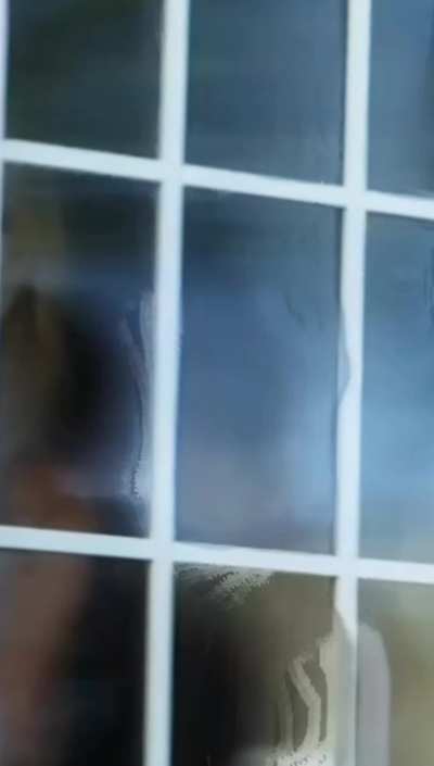 Elizabeth Masucci Big Boobs Nude in Virgin Alexander (2011)