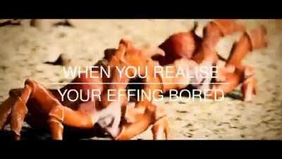 And I took that personally........