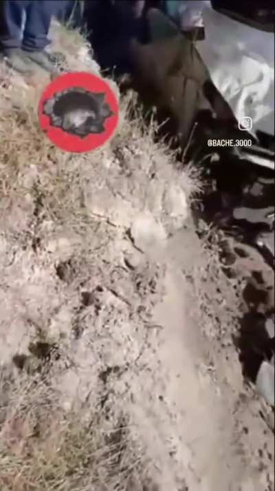 volcó unas de las ferraris que en la patagonia andaban en contra mano y a toda velocidad por la ruta: