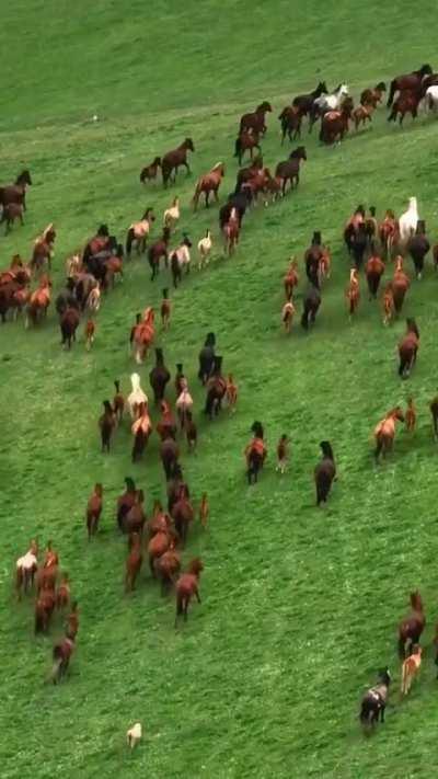 🔥 Kazakh Steppe; the world's largest steppe region 🔥
