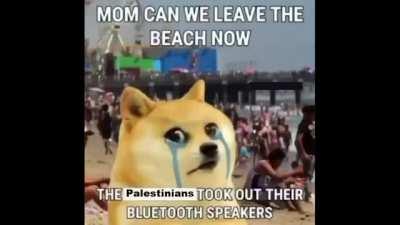 Jarvis, assemble the Fajr-5, accept donations from Gulf countries, and target Tel Aviv.