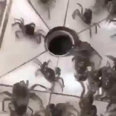 ⠀⠀ ⠀⣠⠤⠖⠚⠛⠉⠛⠒⠒⠦⢤ ⠀⠀⠀⠀⣠⠞⠁⠀⠀⠠⠒⠂⠀⠀⠀⠀⠀⠉⠳⡄ ⠀⠀⠀⢸⠇⠀⠀⠀⢀⡄⠤⢤⣤⣤⡀⢀⣀⣀⣀⣹⡄ ⠀⠀⠀⠘⢧⠀⠀⠀⠀⣙⣒⠚⠛⠋⠁⡈⠓⠴⢿⡿⠁ ⠀⠀⠀⠀⠀⠙⠒⠤⢀⠛⠻⠿⠿⣖⣒⣁⠤⠒⠋ ⠀⠀⠀⠀⠀⢀⣀⣀⠼⠀⠈⣻⠋⠉⠁ A M O G U S ⠀⠀⠀⡴⠚⠉⠀⠀⠀⠀⠀⠈⠀⠐⢦ ⠀⠀⣸⠃⠀⡴⠋⠉⠀⢄⣀⠤⢴⠄⠀⡇ ⠀⢀⡏⠀⠀⠹⠶⢀⡔⠉⠀⠀⣼⠀⠀⡇ ⠀⣼⠁⠀⠙⠦⣄⡀⣀⡤⠶⣉⣁⣀⠘ ⢀⡟⠀⠀⠀⠀⠀⠁⠀⠀⠀⠀⣽ ⢸⠇⠀⠀⠀⢀⡤⠦⢤⡄⠀⠀⡟ ⢸⠀⠀⠀⠀⡾⠀⠀⠀⡿⠀⠀⣇⣀⣀ ⢸⠀⠀⠈⠉⠓⢦⡀⢰⣇⡀⠀⠉⠀⠀⣉