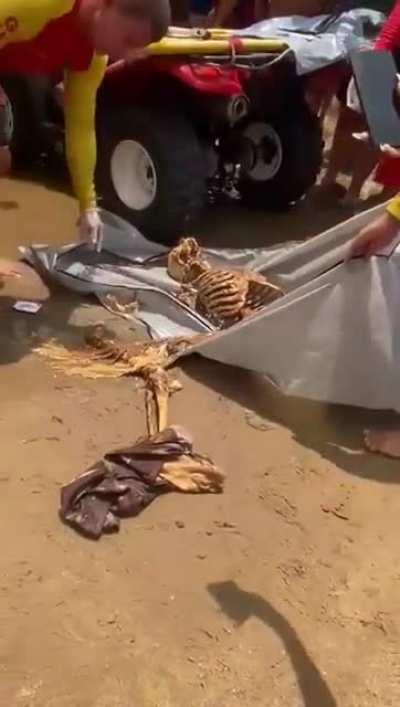 Bather finds bones while bathing in Ponta Negra Beach.