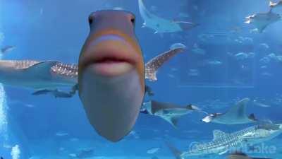 an intimate moment between two friends