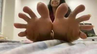 The trade collection volume 33