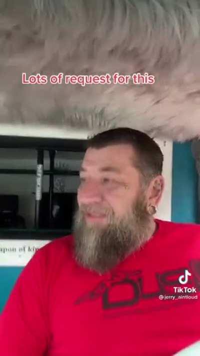 50 year old me bumping Carti in my car