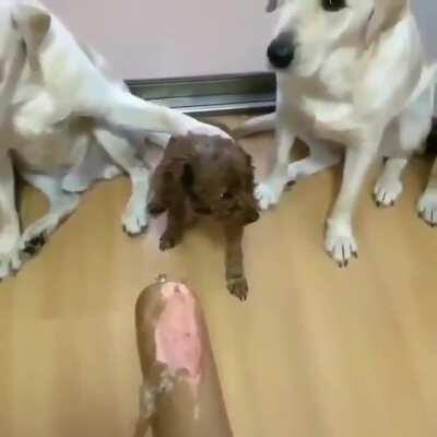 I would like to take this oppurtunity to say. Fuck those snitches