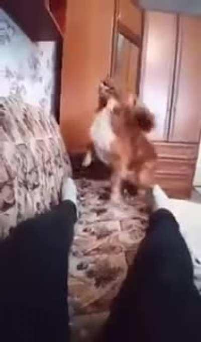 Make yourself comfortable.