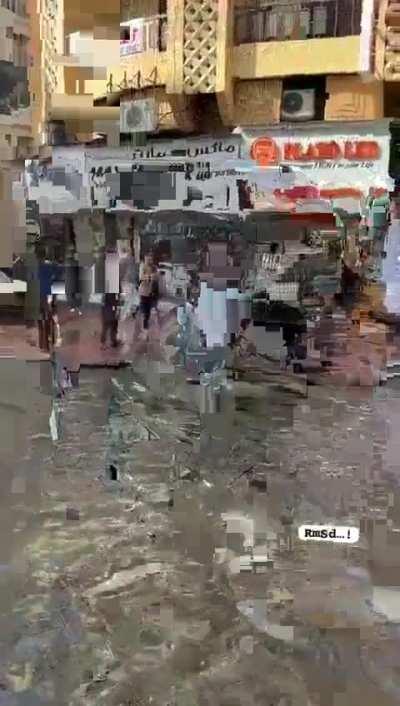 Dh 1 to cross the road 🫡