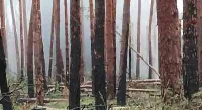 Recording from the receiving end of a M777  