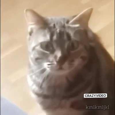 Control disconnected