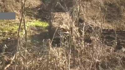 At dawn, Russians launched a 