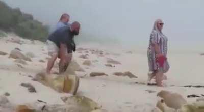 Que bom que a amiga conseguiu registrar esse momento sublime!