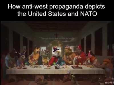 They make us look awesome