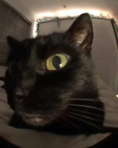 oo ooua oo uauao uouoaua oo