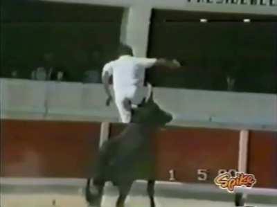 WCGW messing with a bull