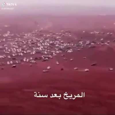 Mars after a year from now