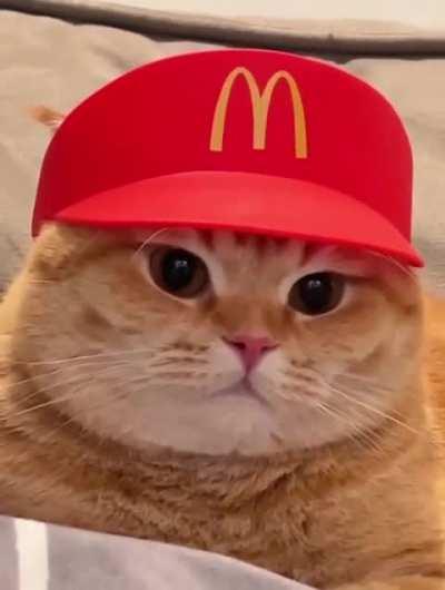 you want a coca cola with or without ice.