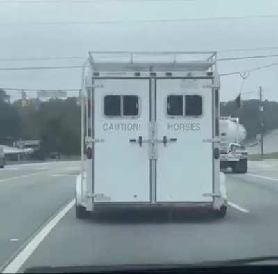 Horses...?
