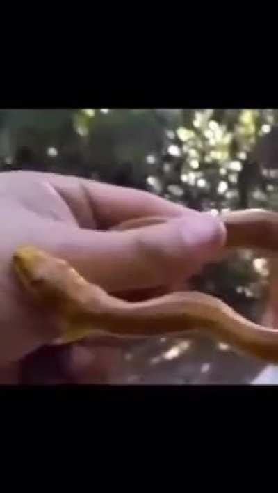 Bro fr just said, “oh my bad bro, my fault, ay man i didn’t know we was chill like that”