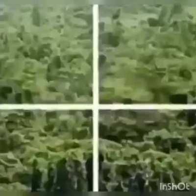 welcome to vietnam you motherfucking napalm