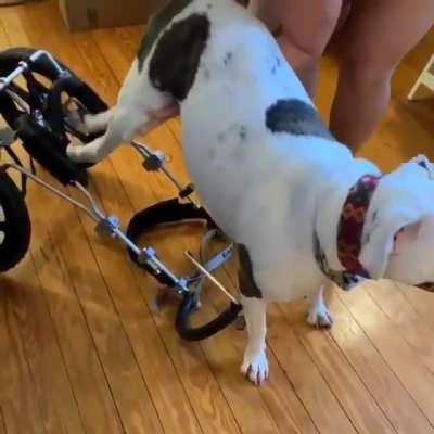 Happy boy loves his wheelchair