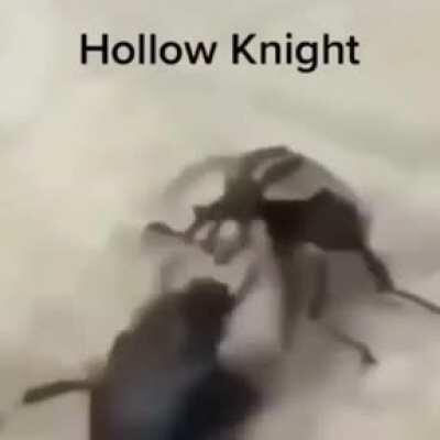 Hollow Knight