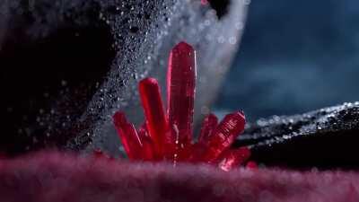 Onesal | Visual ASMR