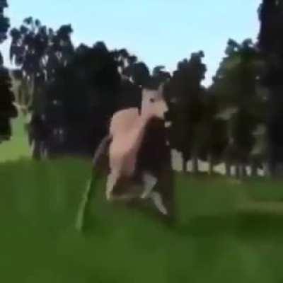 Deer dance lol
