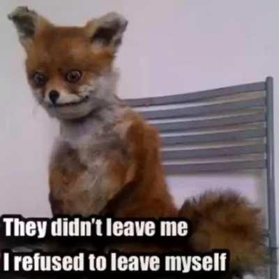 intra-companionship 🧍