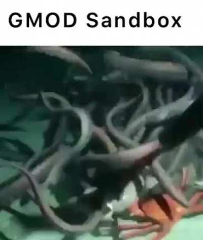 GMOD Sandbox