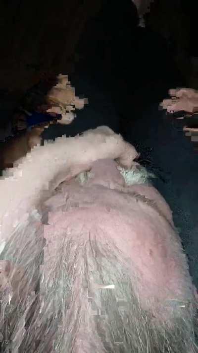 Mistress DK neck tendering 