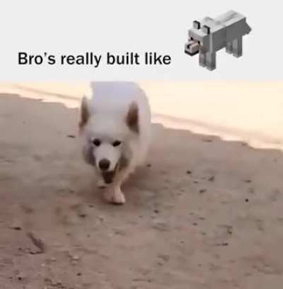 She’s looking for a bone! 🦴