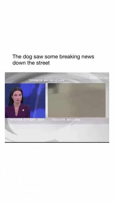 I’ll show you what real journalism is