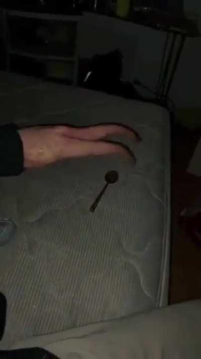 Salad fingers in real life