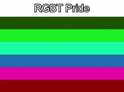 I literally don't know where else to post this so please don't mind it here.